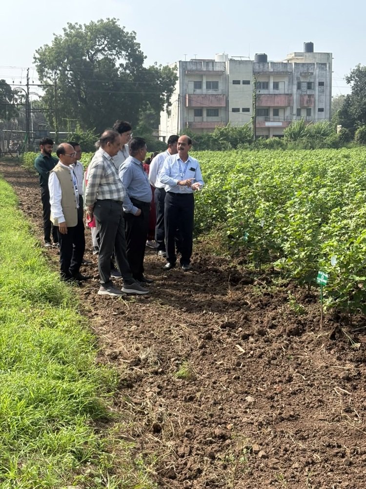 Hon'ble Vice-Chancellor, NAU, Navsari Dr. R. M. Naik visited the Regional Cotton Research Station, Bharuch on 29th September, 2026 along with Director of Research & Dean PG Studies, Dr. Timur Ahllawat; Associate Director of Research, Dr. Vikas Naik and Dr. Lalit Mahatma; Director of Students’ Welfare, Prof. Jaimin Naik; and Dr. D.D. Patel, Principal, COA, NAU, Bharuch. 