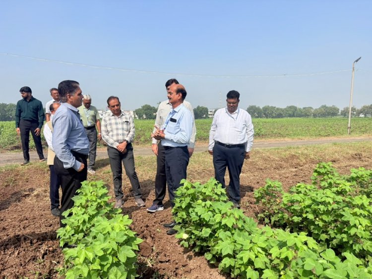 Hon'ble Vice-Chancellor, NAU, Navsari Dr. R. M. Naik visited the Regional Cotton Research Station, Bharuch on 29th September, 2026 along with Director of Research & Dean PG Studies, Dr. Timur Ahllawat; Associate Director of Research, Dr. Vikas Naik and Dr. Lalit Mahatma; Director of Students’ Welfare, Prof. Jaimin Naik; and Dr. D.D. Patel, Principal, COA, NAU, Bharuch. 