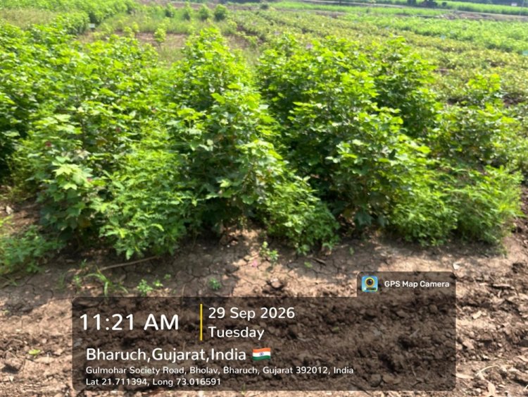 Hon’ble Vice-Chancellor, NAU, Navsari, Dr. R. M. Naik visited the Natural Farming demonstration and research facilities at the College of Agriculture, Bharuch.