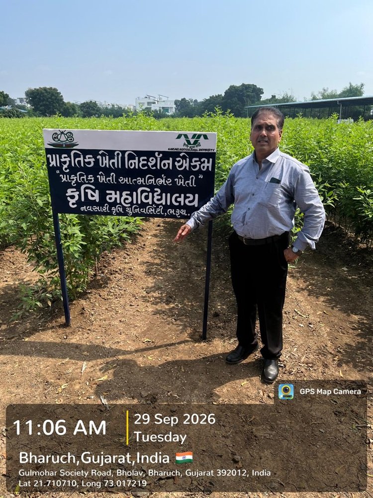 Hon’ble Vice-Chancellor, NAU, Navsari, Dr. R. M. Naik visited the Natural Farming demonstration and research facilities at the College of Agriculture, Bharuch.