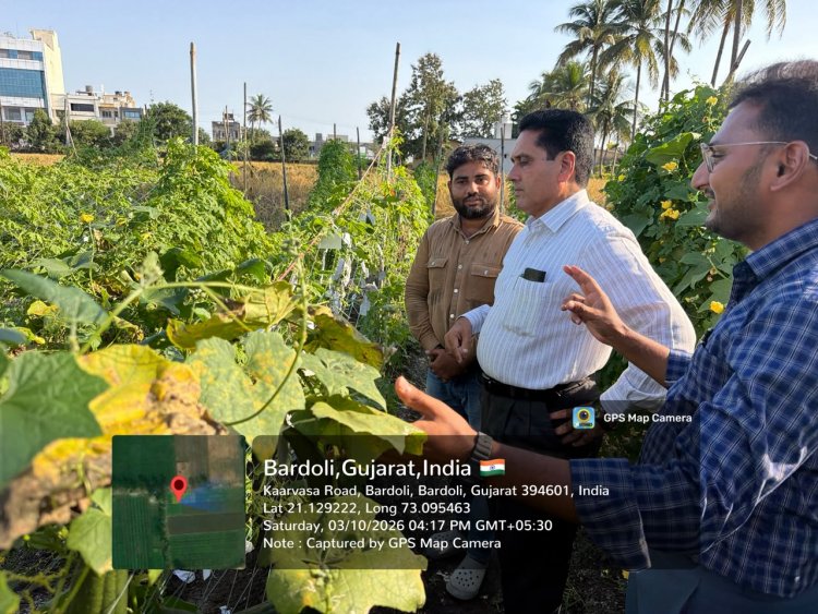 Hon’ble Vice-Chancellor Dr. R. M. Naik Makes Surprise Visit to Wheat Research Station, NAU, Bardoli