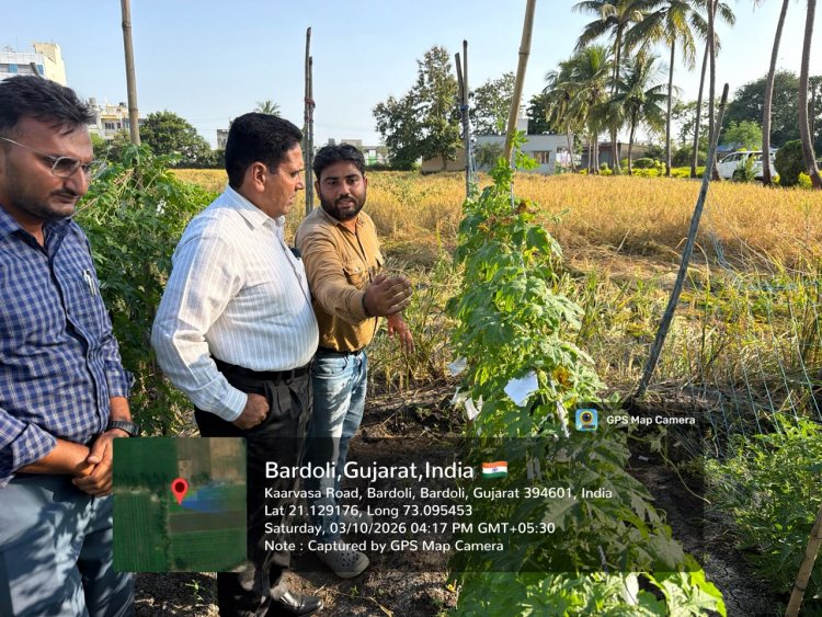 Hon’ble Vice-Chancellor Dr. R. M. Naik Makes Surprise Visit to Wheat Research Station, NAU, Bardoli