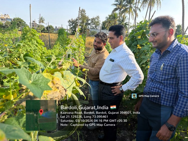 Hon’ble Vice-Chancellor Dr. R. M. Naik Makes Surprise Visit to Wheat Research Station, NAU, Bardoli