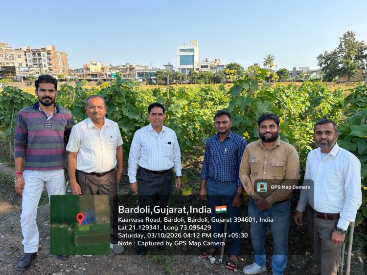Hon’ble Vice-Chancellor Dr. R. M. Naik Makes Surprise Visit to Wheat Research Station, NAU, Bardoli