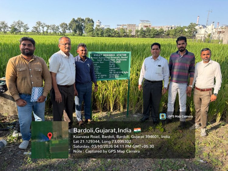 Hon’ble Vice-Chancellor Dr. R. M. Naik Makes Surprise Visit to Wheat Research Station, NAU, Bardoli