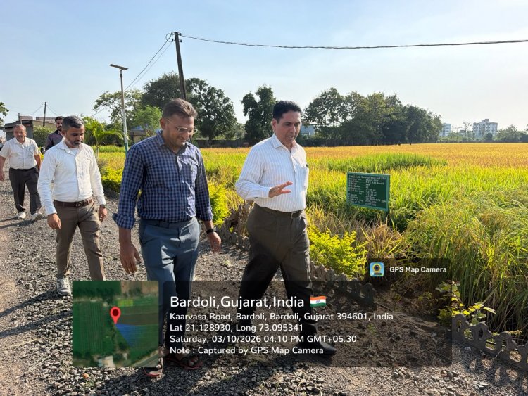 Hon’ble Vice-Chancellor Dr. R. M. Naik Makes Surprise Visit to Wheat Research Station, NAU, Bardoli