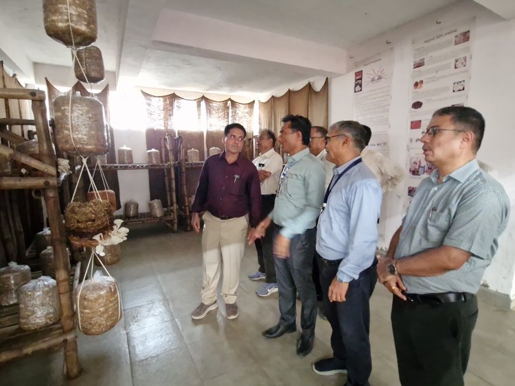 Hon’ble Vice-Chancellor Dr. R. M. Naik Leads High-Level Delegation Visit to KVK Athwa Farm, Surat