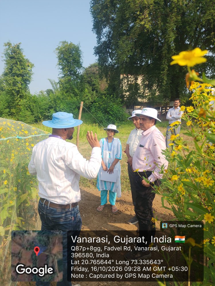 Visit of Hon. Vice Chancellor Dr. RM Naik sirji to Niger Research Station, NAU, Vanarasi