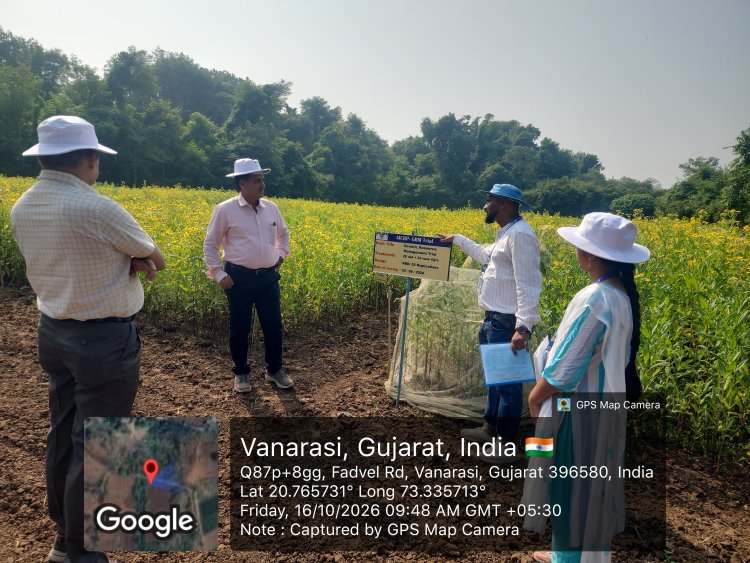 Visit of Hon. Vice Chancellor Dr. RM Naik sirji to Niger Research Station, NAU, Vanarasi