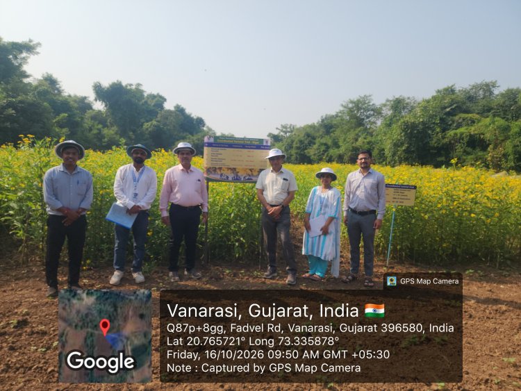 Visit of Hon. Vice Chancellor Dr. RM Naik sirji to Niger Research Station, NAU, Vanarasi